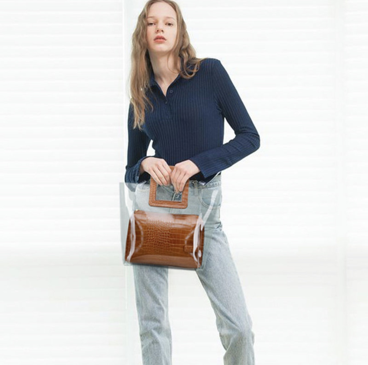Transparent Handbag